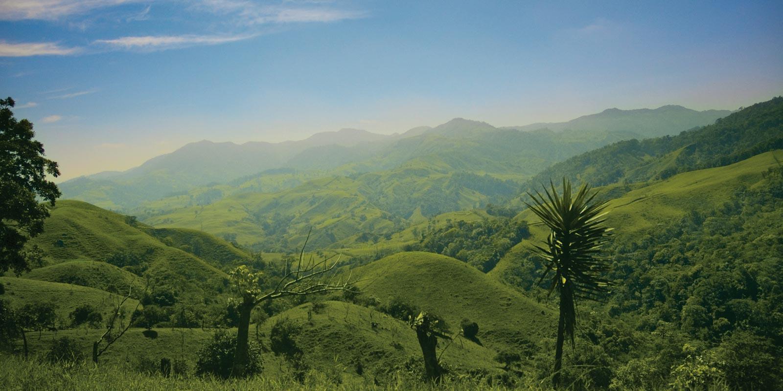 Conservation in Costa Rica | EF Educational Tours Canada